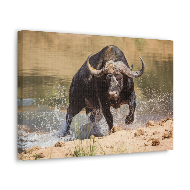 No Frame Print on Canvas