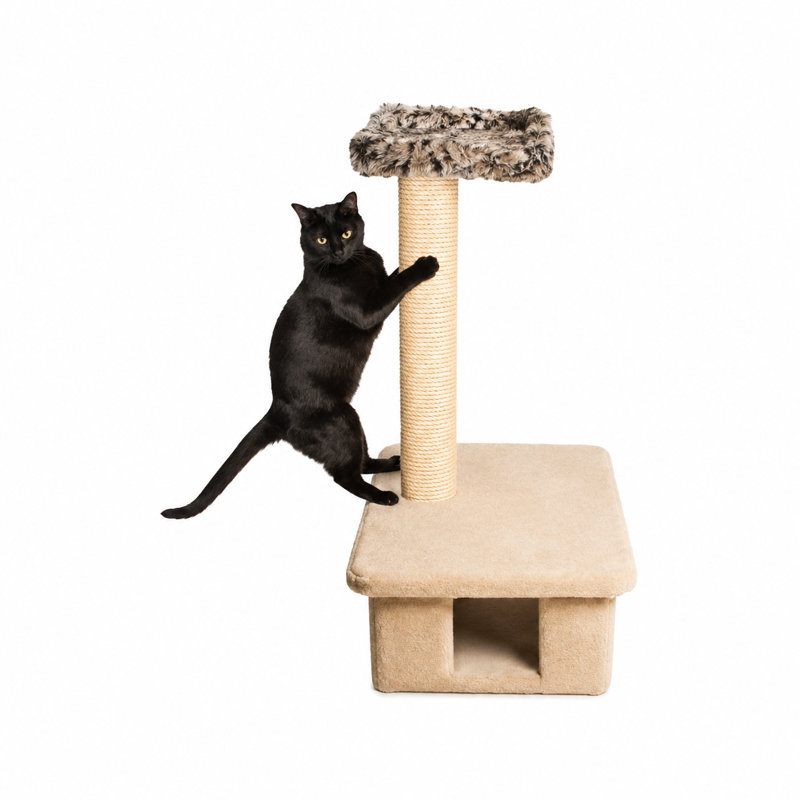 Arbre à chat 42 po Burdett, Beige
