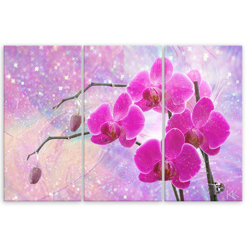 Essential Orchid Abstraction - 3 Piece Wrapped Canvas Print Set, 80cm H x 120cm W