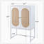 Avrion Accent Cabinet-305982541-305982540