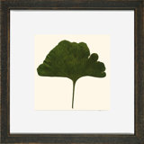 Small Pressed Leaves II Print