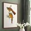 Impression encadrée Elegant Trogons II - bois massif-1315246323-1315246325