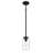 Rojas Outdoor Hanging Lantern