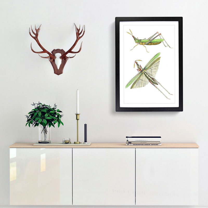 Green Locust by George Shaw - Framed Print, 48cm H x 36cm W x 2cm D, Black Framed