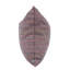 Coussin décoratif carré & insert-50628965-50628962