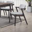 Ensemble de chaises de salle à manger de style Mid-Century moderne 2 pièces