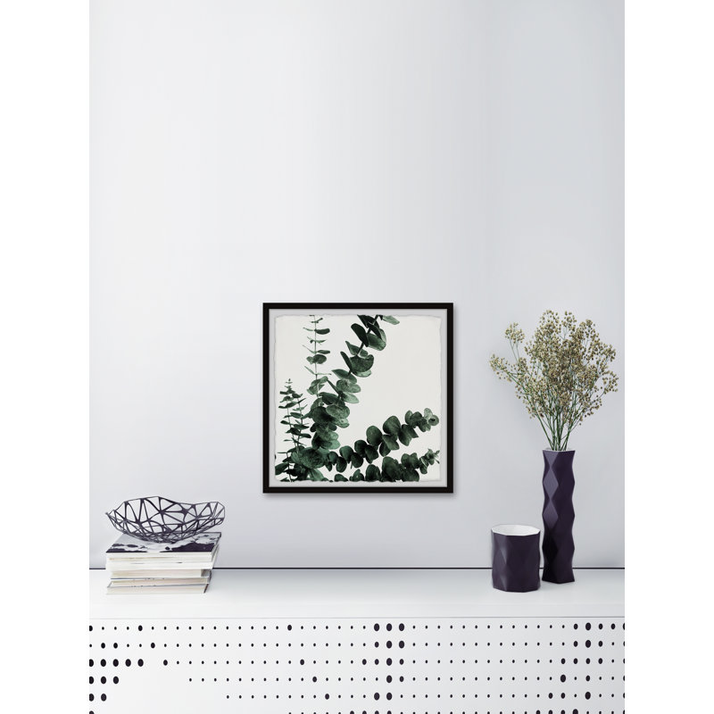 Baby Blue Eucalyptus - Single Picture Frame Painting, 51 cm H x 51 cm W