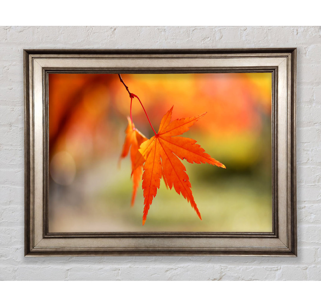 Orange Leaves Sparkle - Einzelner Bilderrahmen Kunstdrucke