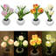 LED Night Light