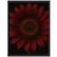 Art mural encadré, impression florale pour décoration florale-116561261-116561265