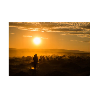 Yasarmetin   Shepherd And Herd Canvas Art