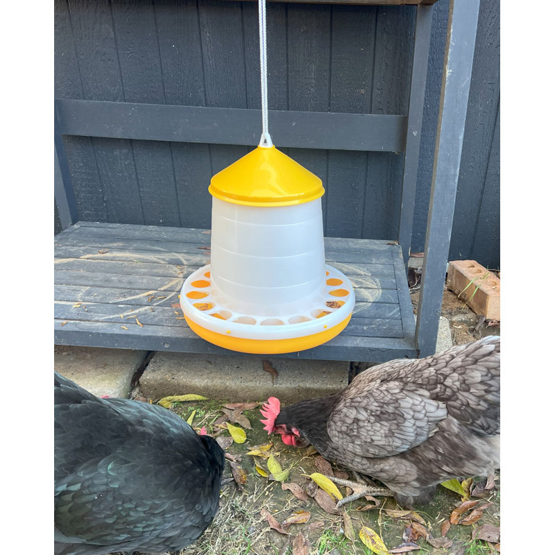 Mangeoire à poulet Bio, 8 lb