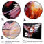 Colibri coloré, battement d'aile, merveille 2 - Art mural colibri-521398247-521398270
