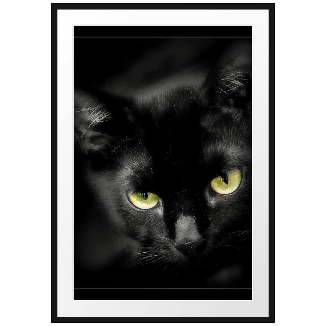 Gerahmtes Poster Schöne schwarze Katze