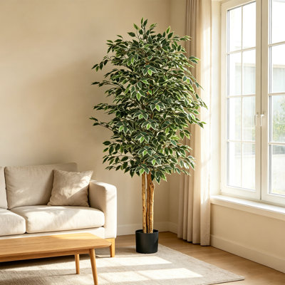 Ficus artificiel, faux olivier de 6 pi de hauteur avec pot noir et fruits pour la décoration intérieure