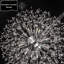 Lustre Perrion-2072134075-2023405440