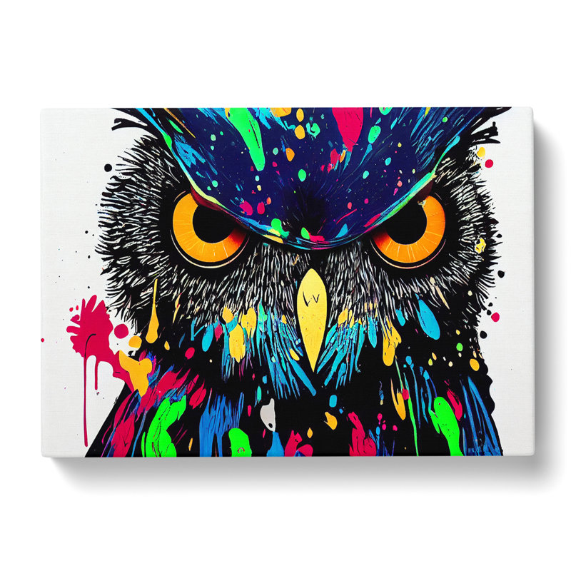Owl Splash Vol.1 Abstract - Wrapped Canvas, 40cm H x 60cm W x 3cm D