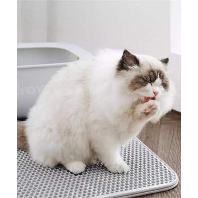 Plastic Litter Mat