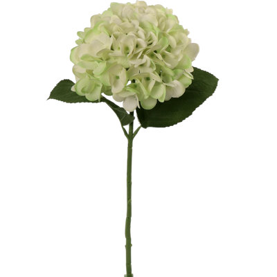 Delicate 18-inch Light Green Hydrangea Stem - Stunning 7-inch Diameter