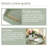 Decorative Trays