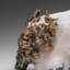 Silver On Calcite Crystal Cluster  Matrix From Bouismas Mine, Zagora, Morocco