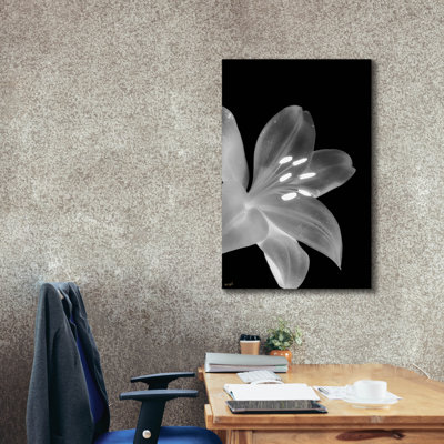«Epil Graffiti» «Lily 3» par Life BeautifuLEE, art mural sur toile, 26 po x 40 po