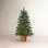 Potted 4' Pre-Lit Pine Potted Christmas Tree