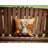 Cornish Rex Cat in Fall Leaves Throw Pillow-112679391