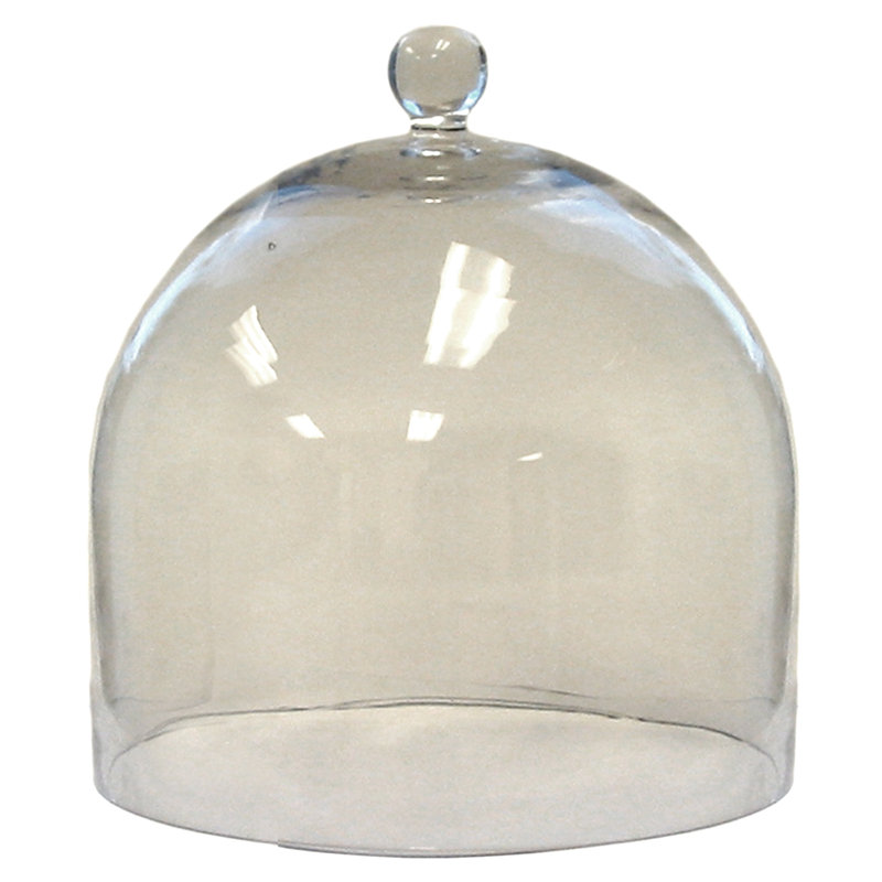 Baines Glass Dome, 11.5" x 11" W x 11" D
