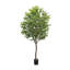 Faux Aralia Tree-Faux Aralia Tree-8'-150141452
