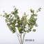 Buissons d'eucalyptus Hamlin-88400813