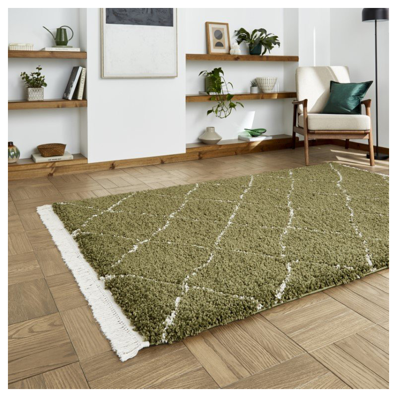 Pechler area rug Machine Woven Green, Rectangle 80 x 150cm