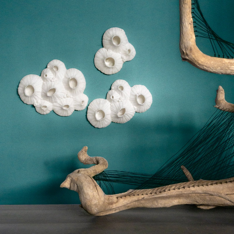 Paleo Barnacle Wall Art, 11.8'' H x 9.5'' W x 2.5'' D