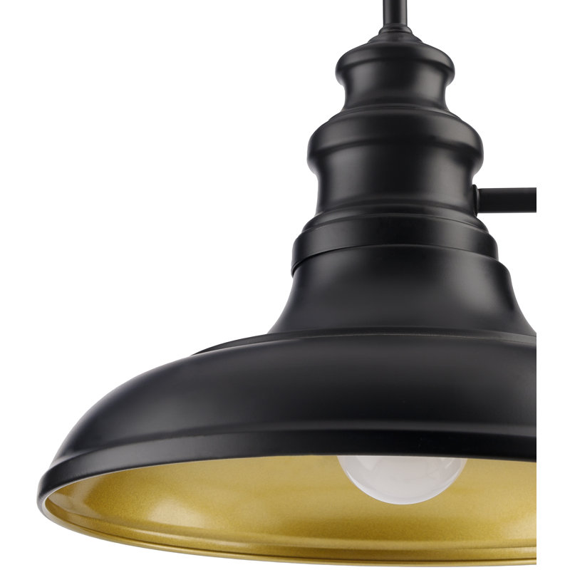 Duhart Iron Armed Sconce