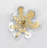 Plants & Flowers Wall Decor
