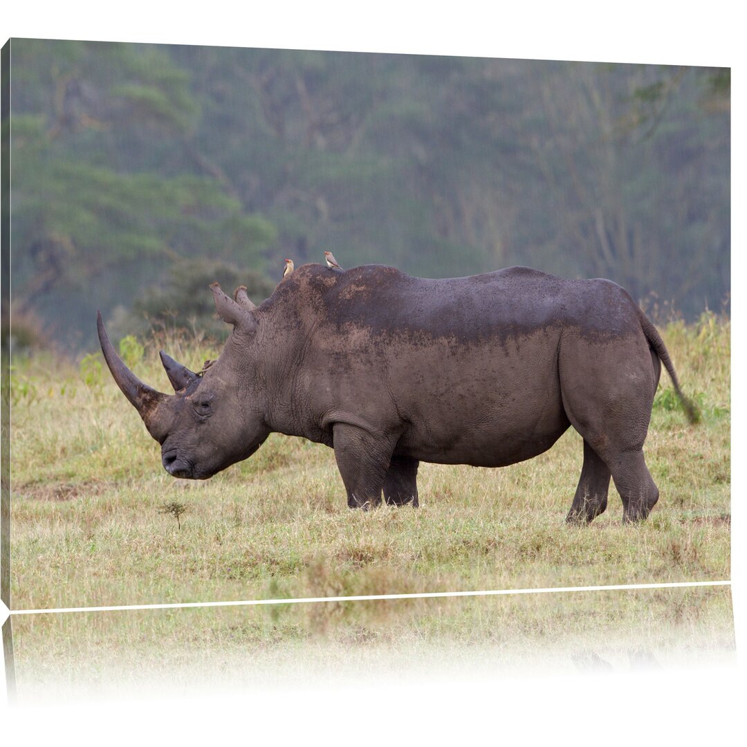 Leinwandbild Großes Nashorn in der Savanne