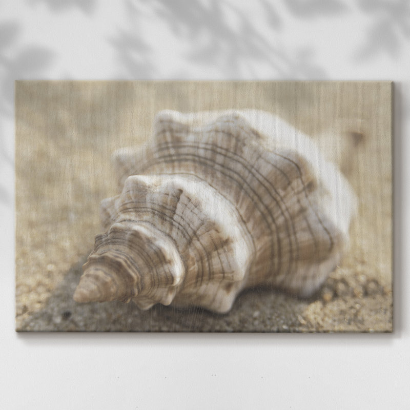 Calmer Shell I -Galerie enveloppée Cavas, 18 x 27