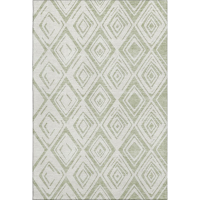 Premium Machine Washable Lisse Aloe Rug