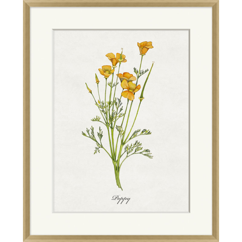 Valley Wildflower Poppy Print by Nathan Turner