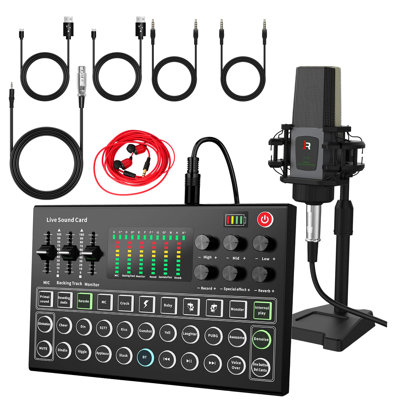 Podcast Equipment Bundle, Audio Interface DJ Mixer with Microphone, M9 Changer with T118 Podcast Microphone Bundle, Studio Equipment for Podcasting, R