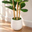 Figuier artificiel 5,2 pi en pot blanc