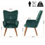 Hollowayville Velvet Armchair