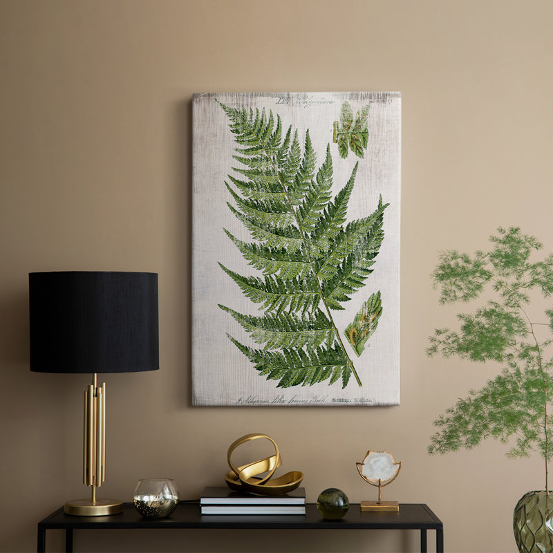 Greenhouse Fern II - galerie sur mesure, H 12 po x l 8 po