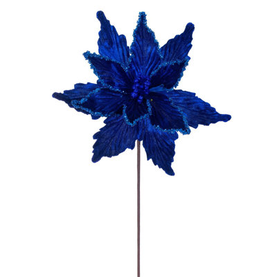 Tiges de poinsettia Cliffo
