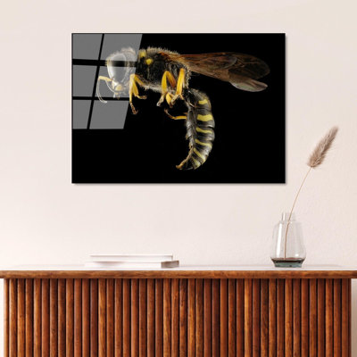 Boze Wall Decor