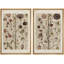 Abstrait botanique, "plante florale classique, photos murales de cuisine neutres rétro, impression sur toile encadrée 2 pièces"-91068939-91068935