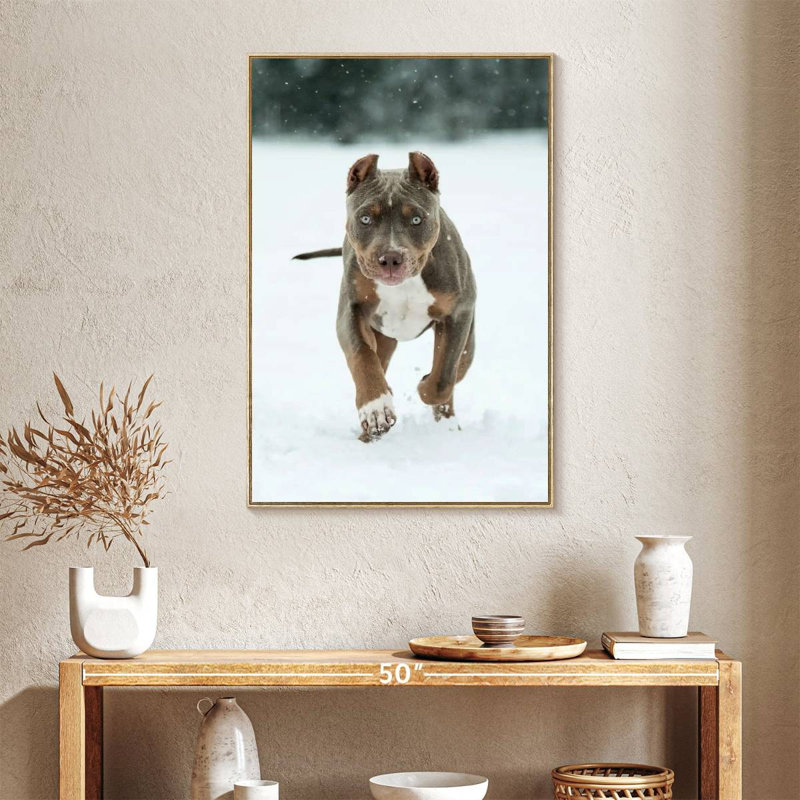 Pit Bull On Snow, Floating Frame Natural Wood, 25" x 37"