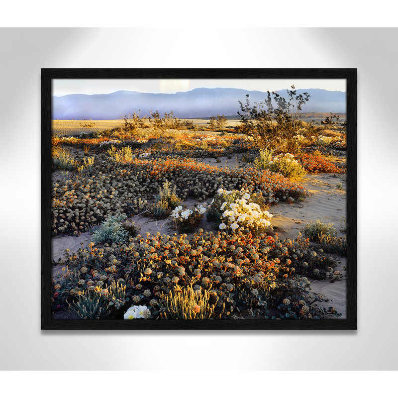 «Anza Borrego Desert» par Danita Delimont - reproduction encadrée sur toile, Papier avec cadre noir fermé
