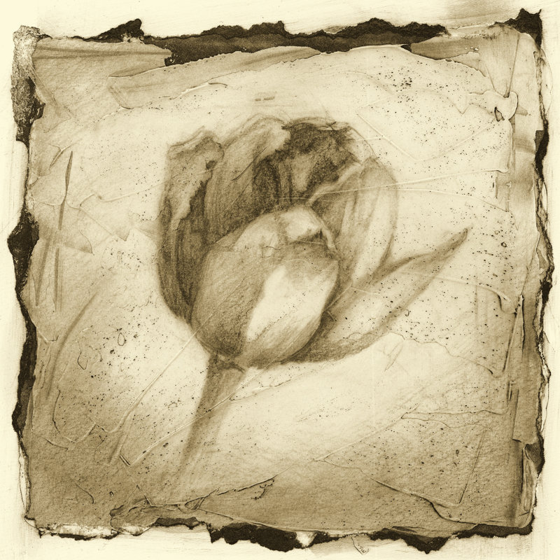 Floral Impression I by Ethan Harper - Wrapped Canvas Art Prints, 91cm H x 91cm W