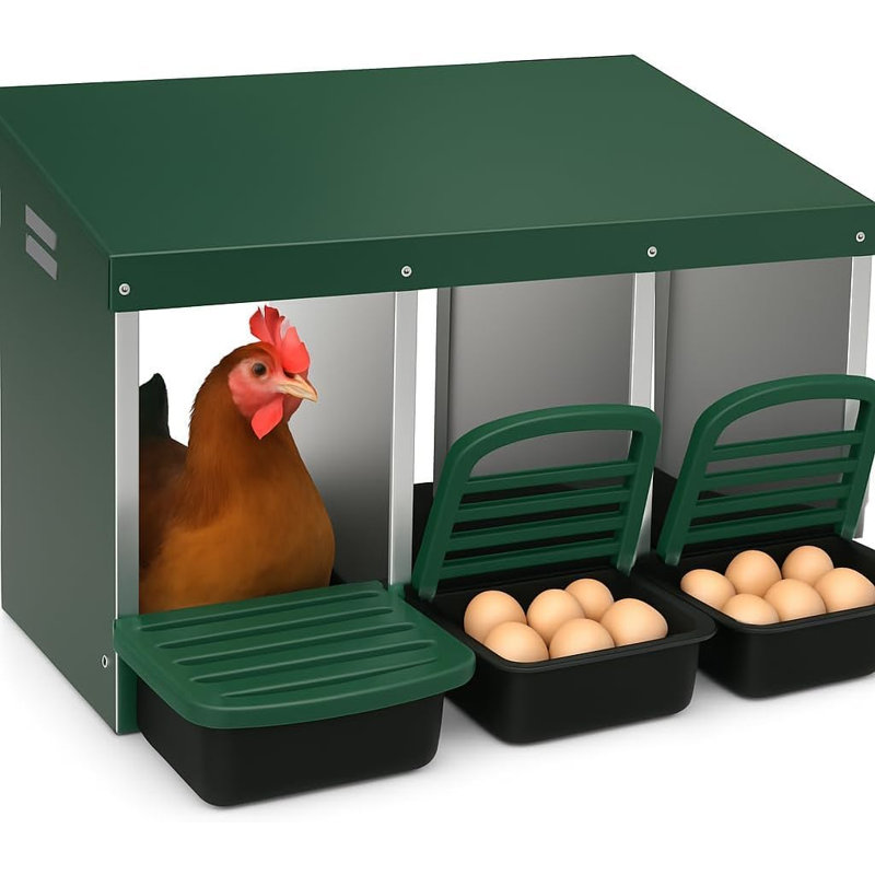 Boîtes de nidification de poulets pour poulets, boîte de nidification à 3 compartiments en métal pour poulailler, collection d'œufs coulissants pouvant accueillir jusqu'à 15 poules, boîte de nidification de poulailler avec couvercle pour protéger les œufs